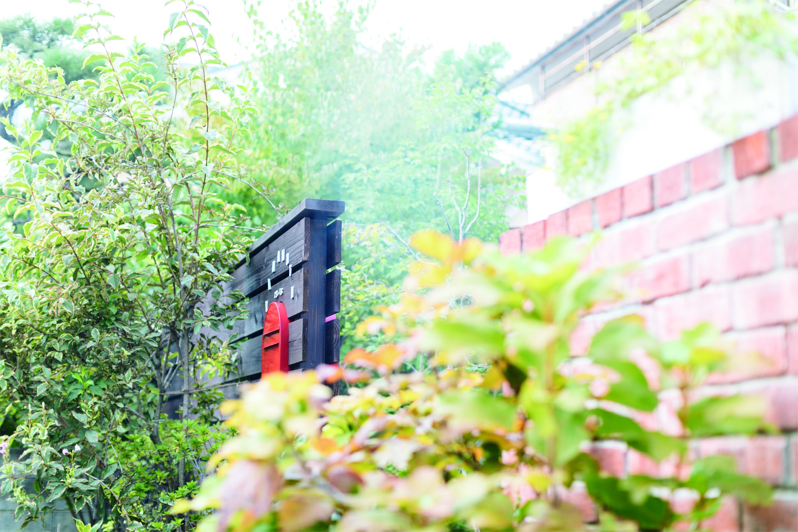 代表・岸本洋介からのご挨拶